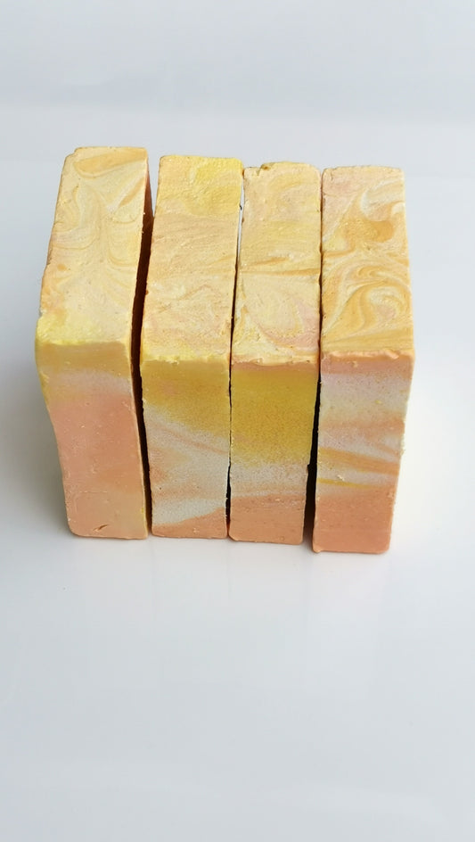 Soap Making Workshop | Cold Process Soap making class | THE VEGAN POTIONRY WORKSHOP