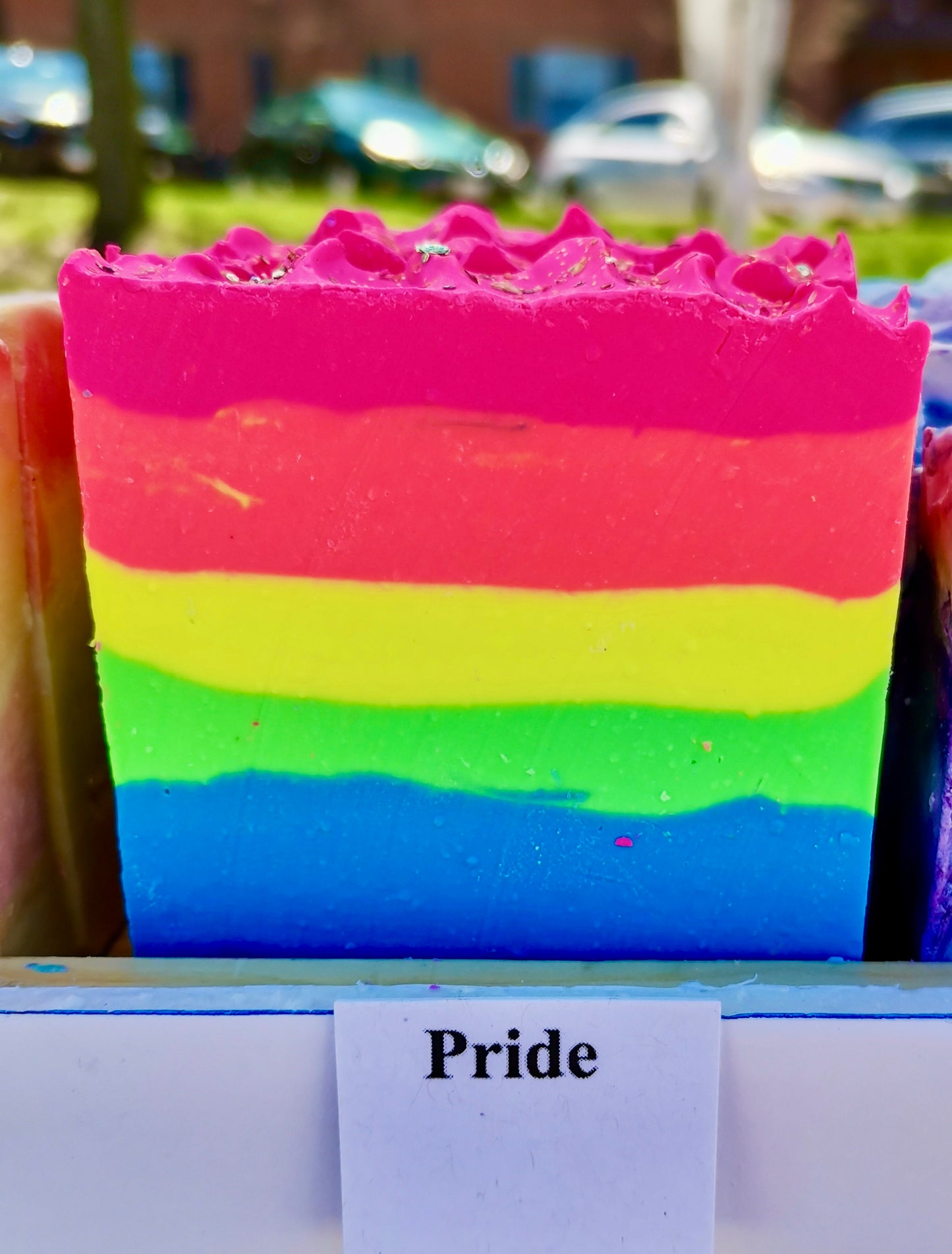 Pride Hydrating Soap | Herbal & Palm Free Soap | The Vegan Potionry |